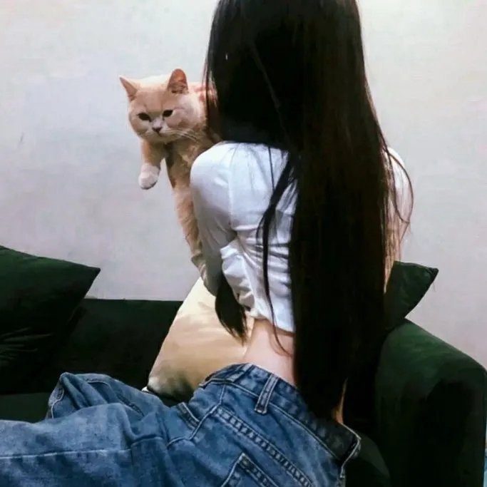 爱娃的爱 海报